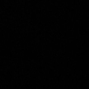 Meet your Posher, Bailey